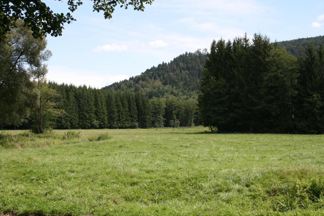 Notre Cachette Bed and Breakfast Biffontaine Buitenkant foto